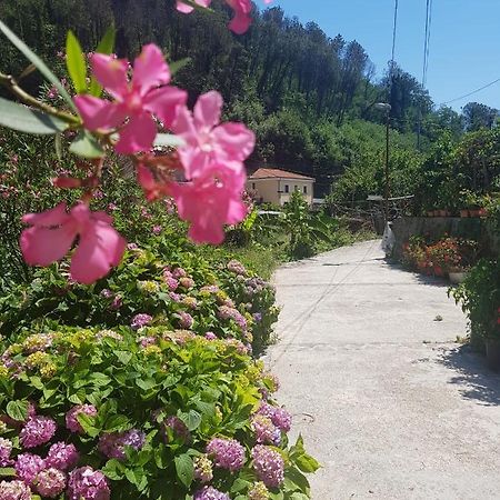 마이오리 Casa Nonna Anna 빌라 외부 사진