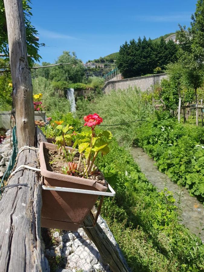 마이오리 Casa Nonna Anna 빌라 외부 사진