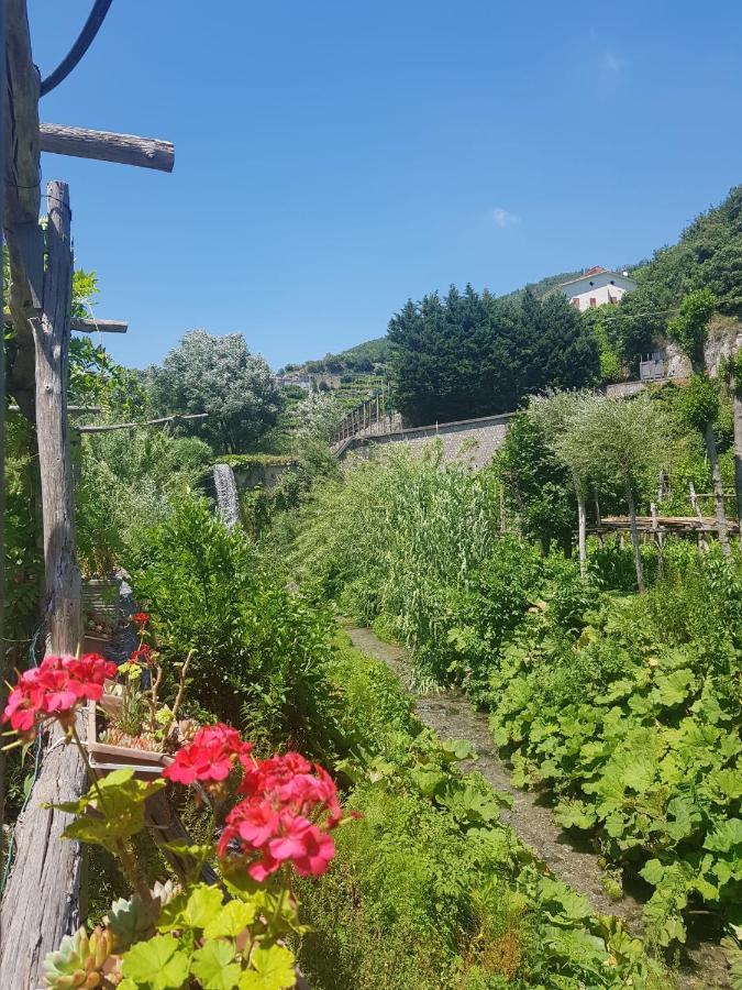 마이오리 Casa Nonna Anna 빌라 외부 사진