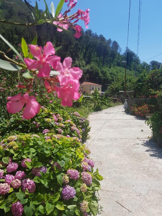 마이오리 Casa Nonna Anna 빌라 외부 사진