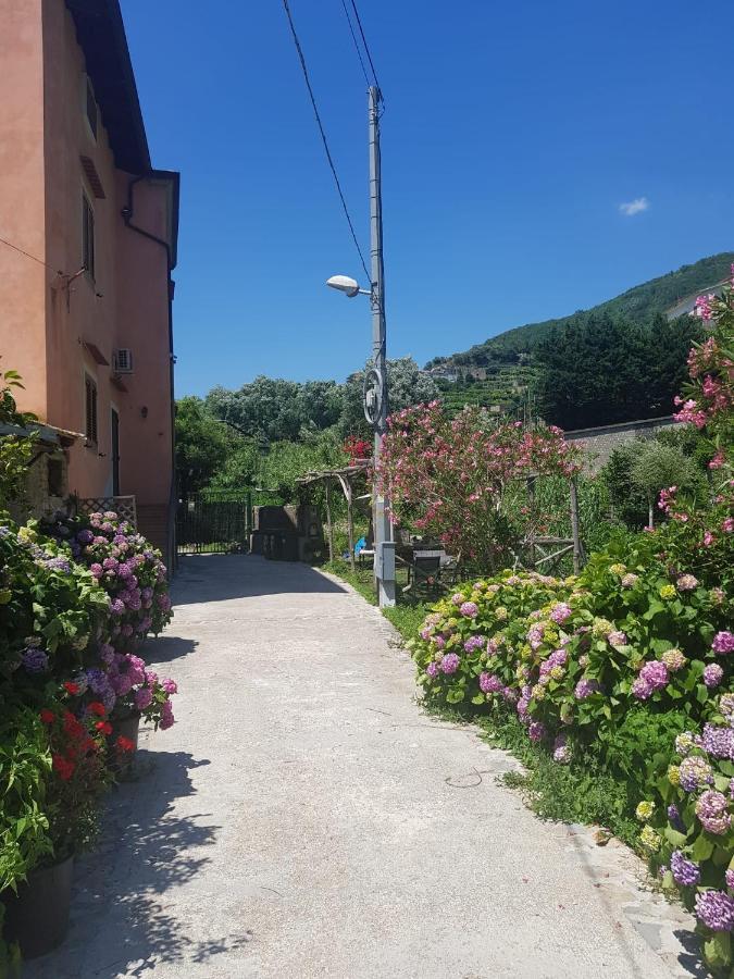 마이오리 Casa Nonna Anna 빌라 외부 사진