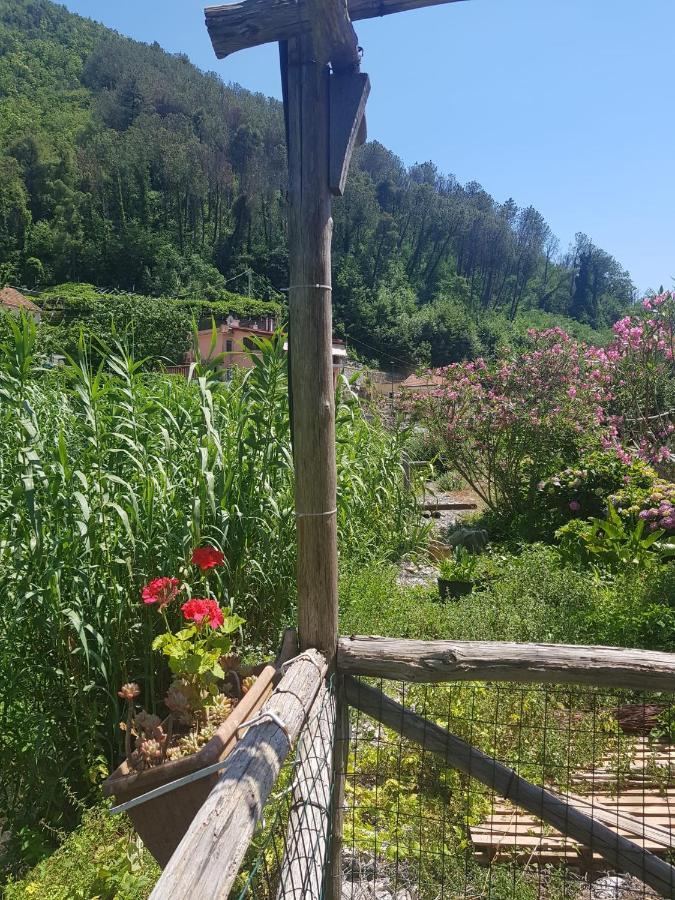 마이오리 Casa Nonna Anna 빌라 외부 사진